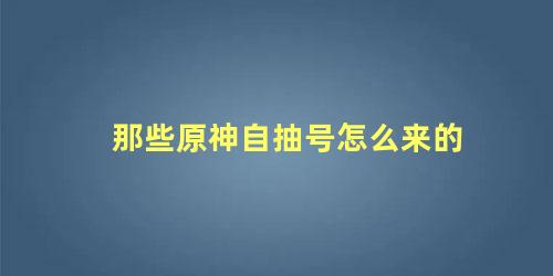 原神自抽号如何购买(原神自抽号在哪里买比较好)